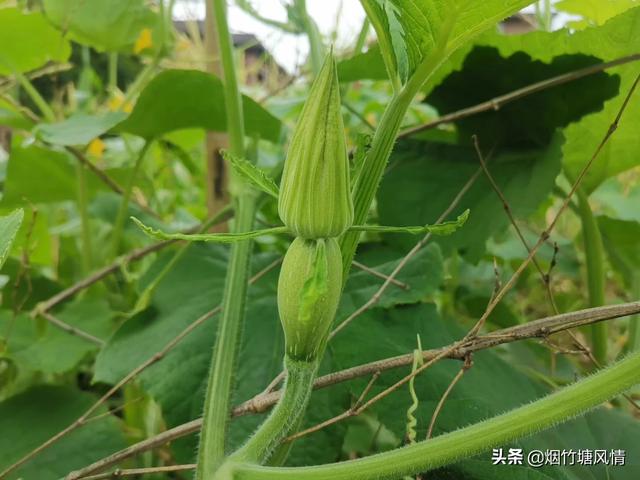 承認錯誤挽回母親:疫情寒假沒有學習如何和媽承認錯誤讓媽媽不太生氣，我是班級前十