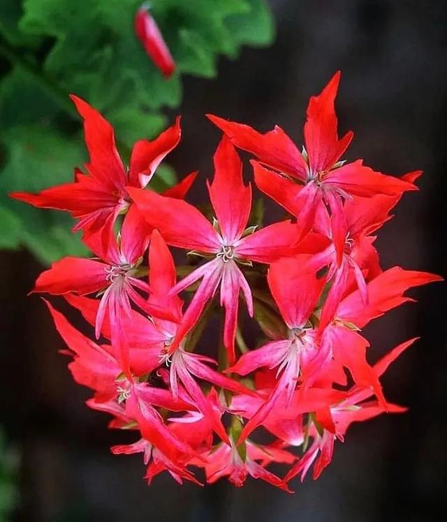 真正聰明的人，怎樣處理自己的“孤獨(dú)時(shí)光”