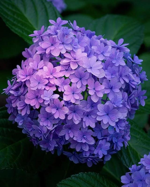 真正聰明的人，怎樣處理自己的“孤獨(dú)時(shí)光”